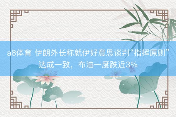 a8体育 伊朗外长称就伊好意思谈判“指挥原则”达成一致，布油一度跌近3%