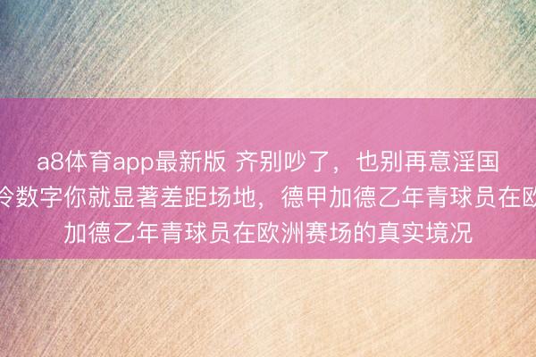a8体育app最新版 齐别吵了，也别再意淫国足了，看完这组冰冷数字你就显著差距场地，德甲加德乙年青球员在欧洲赛场的真实境况