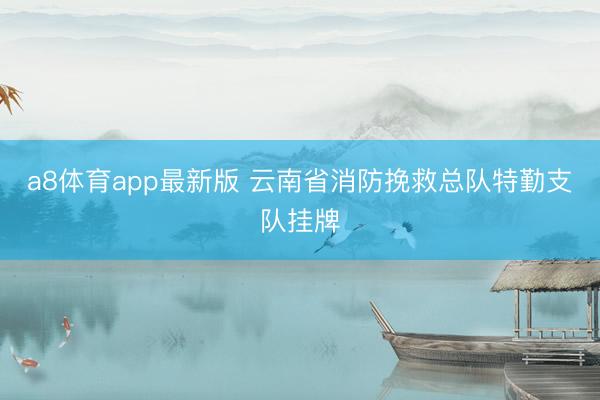 a8体育app最新版 云南省消防挽救总队特勤支队挂牌