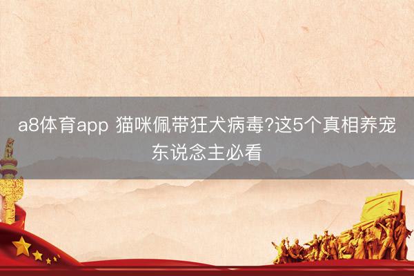 a8体育app 猫咪佩带狂犬病毒?这5个真相养宠东说念主必看