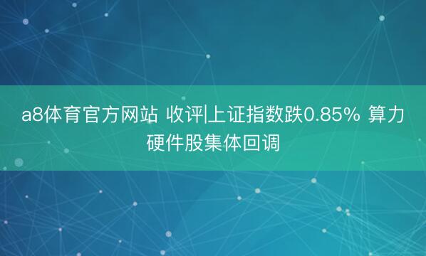 a8体育官方网站 收评|上证指数跌0.85% 算力硬件股集体回调