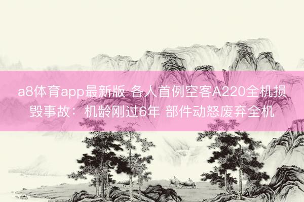 a8体育app最新版 各人首例空客A220全机损毁事故：机龄刚过6年 部件动怒废弃全机