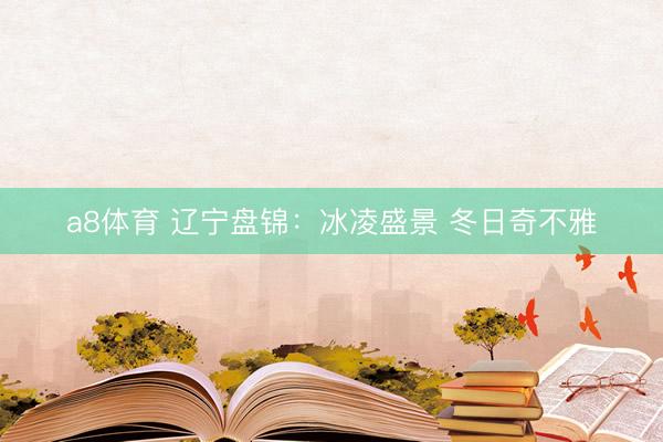 a8体育 辽宁盘锦：冰凌盛景 冬日奇不雅