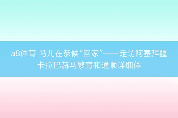a8体育 马儿在恭候“回家”——走访阿塞拜疆卡拉巴赫马繁育和通顺详细体