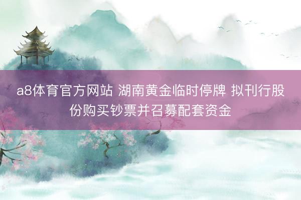 a8体育官方网站 湖南黄金临时停牌 拟刊行股份购买钞票并召募配套资金
