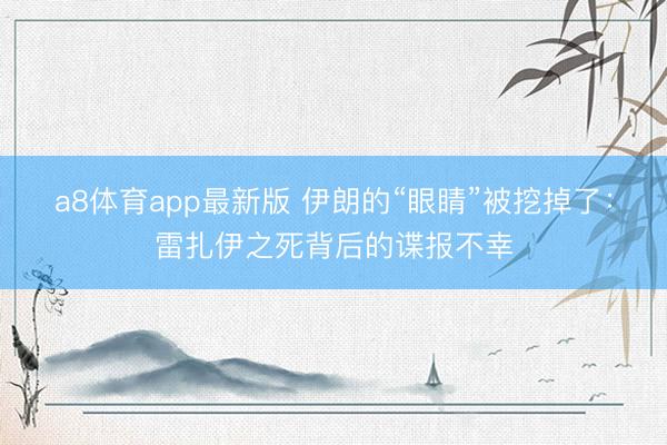 a8体育app最新版 伊朗的“眼睛”被挖掉了：雷扎伊之死背后的谍报不幸
