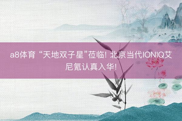 a8体育 “天地双子星”莅临! 北京当代IONIQ艾尼氪认真入华!